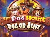 Play The Dog House Online Slot
